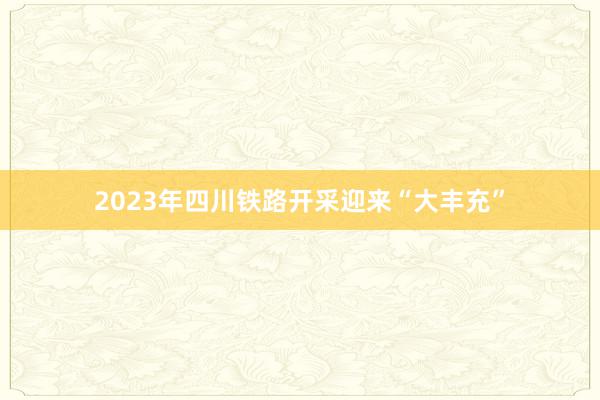 2023年四川铁路开采迎来“大丰充”
